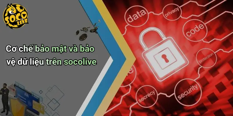 Điều Khoản Điều Kiện