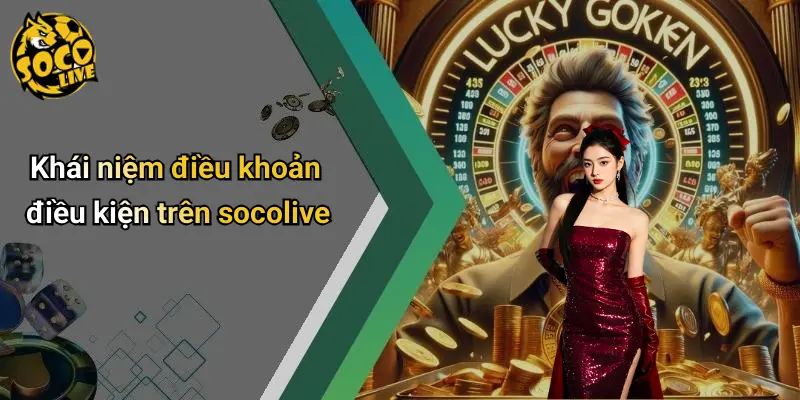 Điều Khoản Điều Kiện