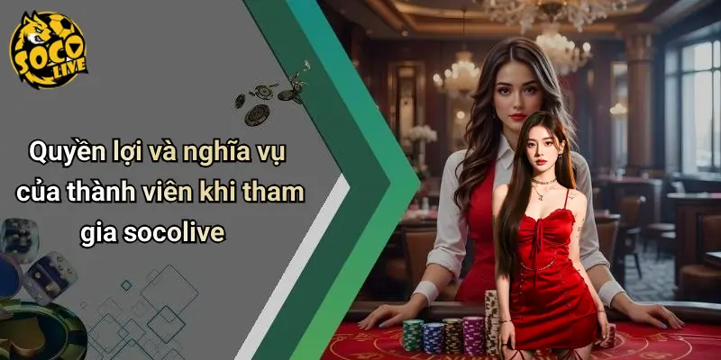 Điều Khoản Điều Kiện