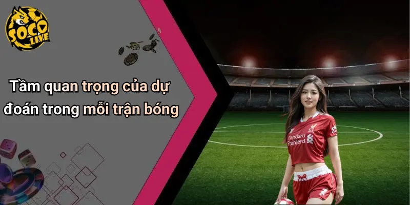 Dự Đoán