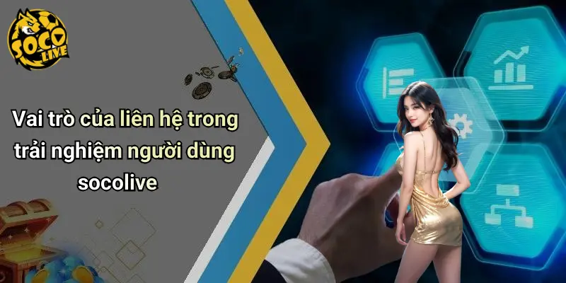 Liên Hệ