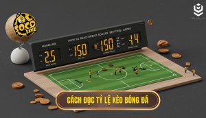 Cách đọc tỷ lệ kèo bóng đá