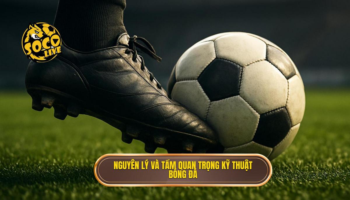 Nguyên lý khoa học và tầm quan trọng của Kỹ thuật sút bóng bằng má ngoài