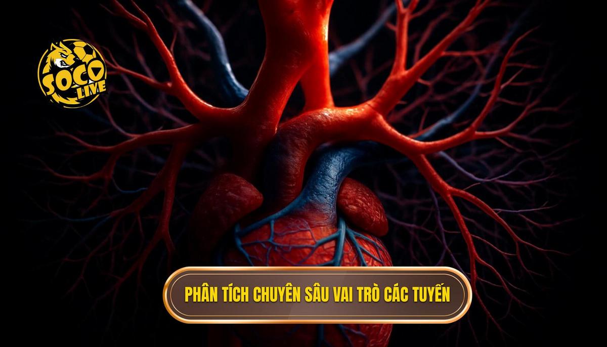 Phân Tích Chuyên Sâu Vai Trò Từng Tuyến