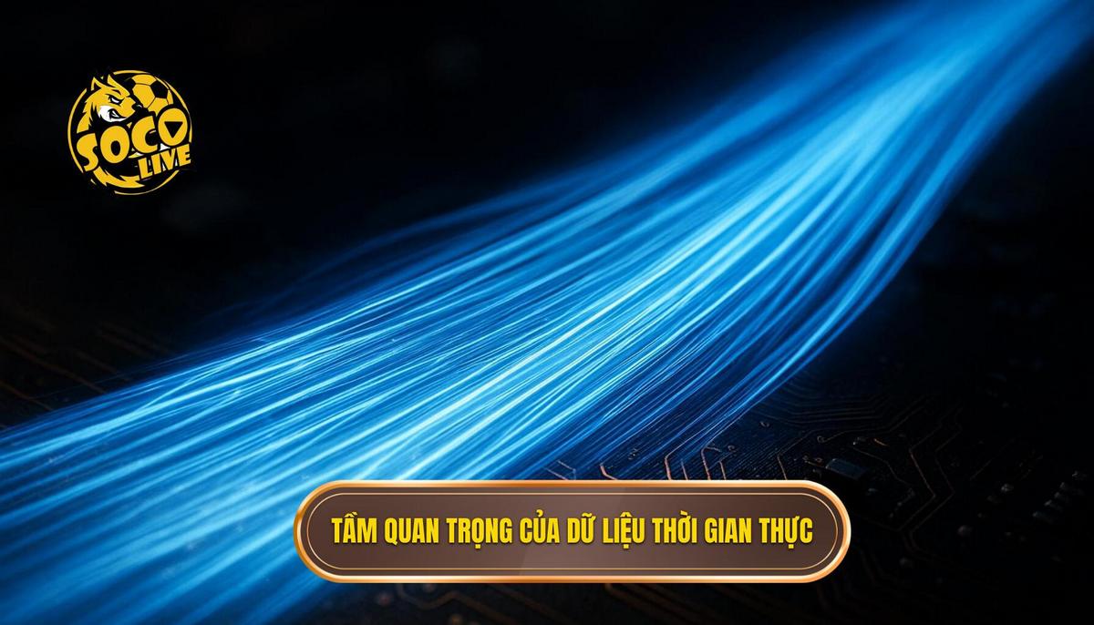 Tầm quan trọng của dữ liệu thời gian thực trong trải nghiệm socolive live score
