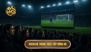 thumb - socolive trang trực tiếp bóng đá